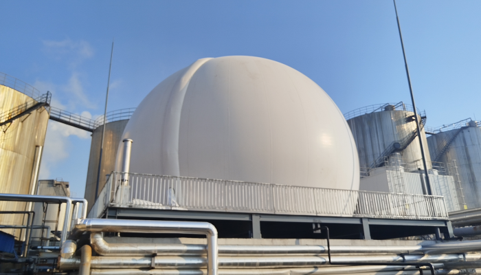 How Does a Biogas Plant Work?