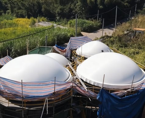 How much cubic feet of gas can I produce from a biogas (cow dung) plant a day?